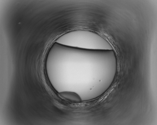 X0000093090049200709260916