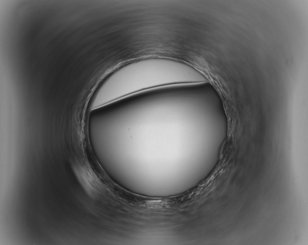 X0000093090050200709260916