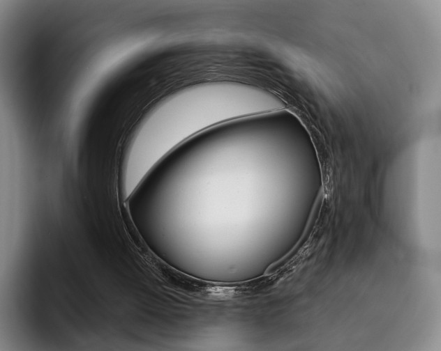 X0000093090052200709260916