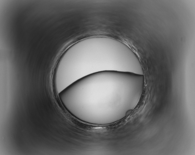 X0000093090053200709260916