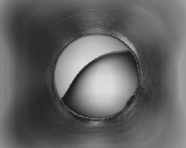 X0000093090057200709260916