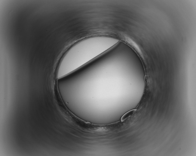 X0000093090059200709260916