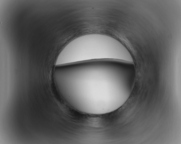 X0000093090066200709260916