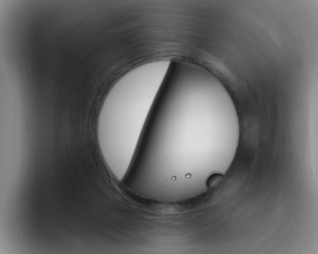 X0000093090073200709260916