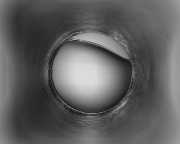 X0000093090101200709260916