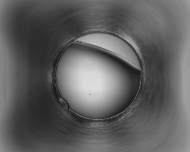 X0000093090105200709260916