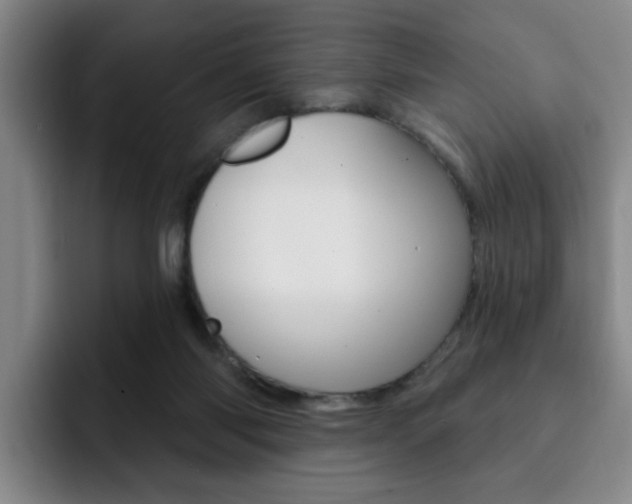 X0000093090118200709260916