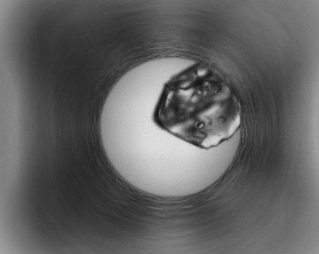 X0000093090129200709260916