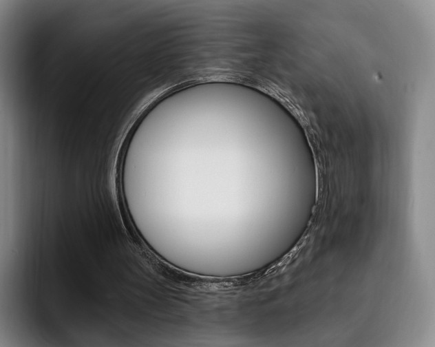 X0000093090147200709260915