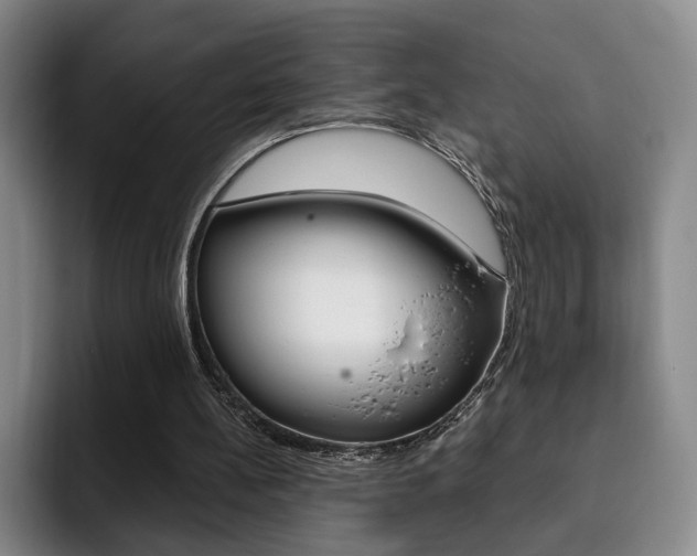 X0000093090148200709260915