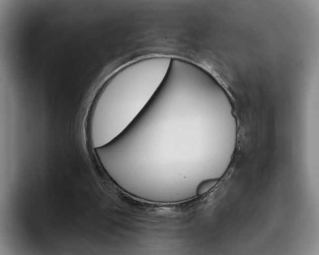 X0000093090151200709260915