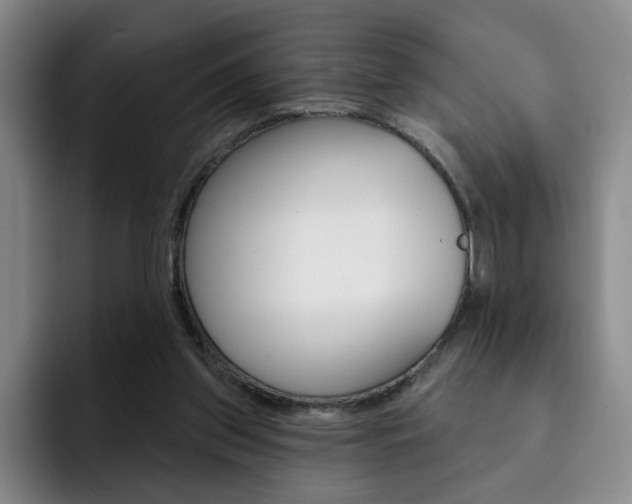 X0000093090157200709260915