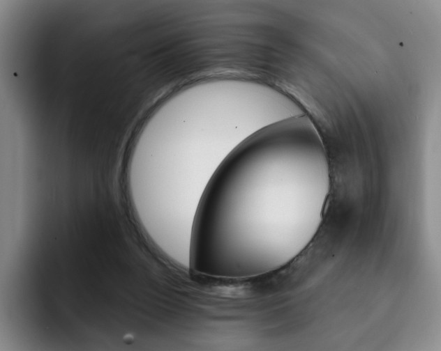 X0000093090160200709260915