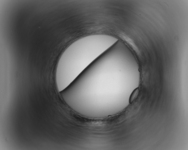 X0000093090161200709260915