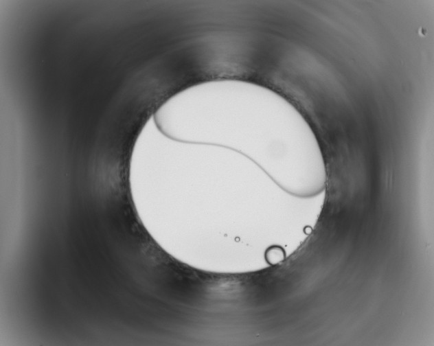 X0000093090162200709260915