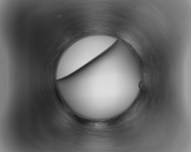 X0000093090165200709260915
