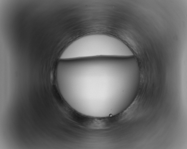 X0000093090166200709260915
