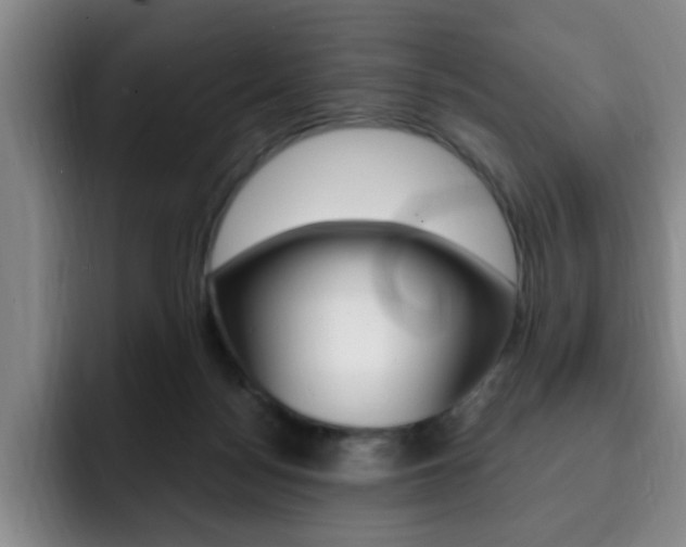 X0000093090172200709260915
