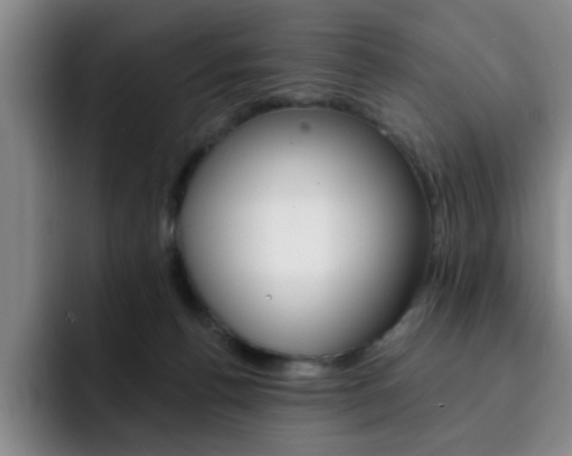 X0000093090176200709260915
