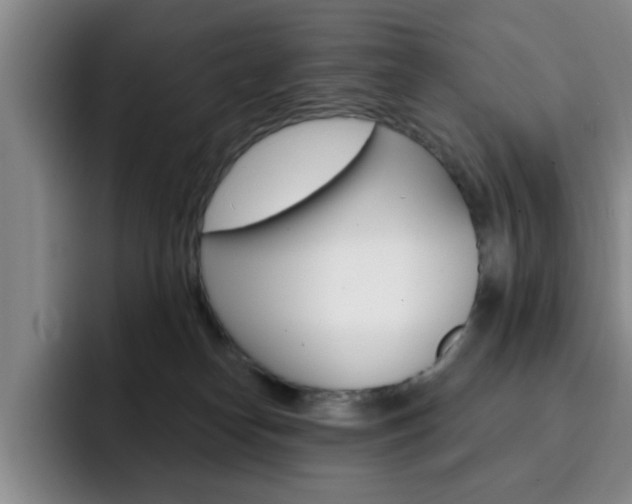 X0000093090182200709260915