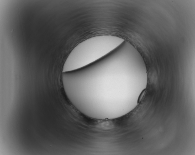X0000093090185200709260915