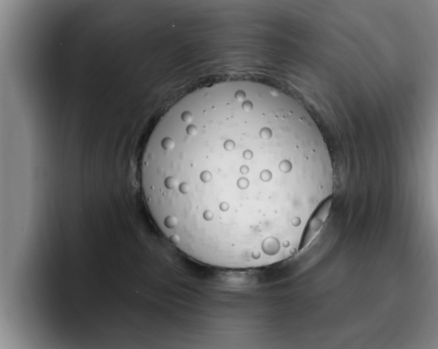 X0000093090187200709260916