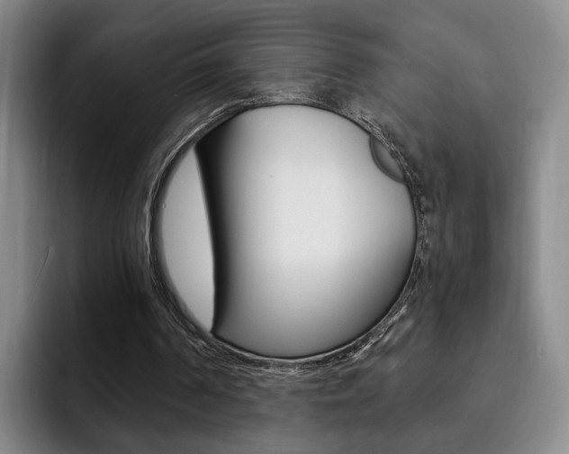 X0000093090194200709260915