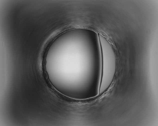 X0000093090197200709260915