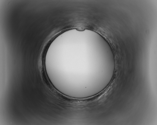 X0000093090198200709260915