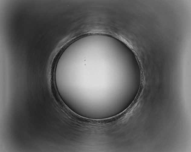 X0000093090199200709260915