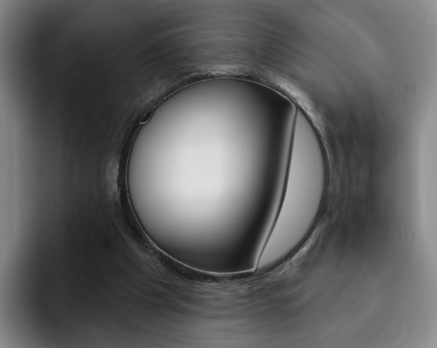 X0000093090201200709260915