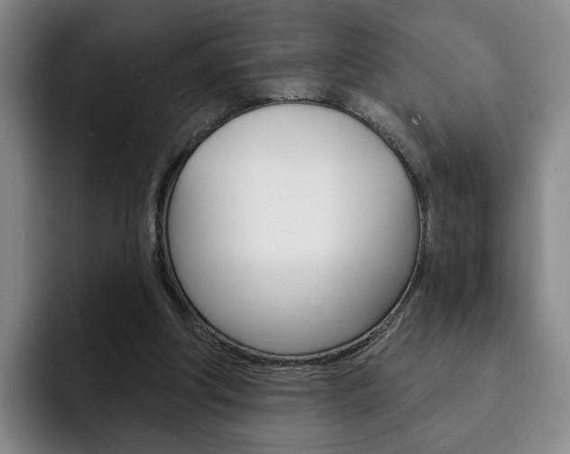 X0000093090202200709260915