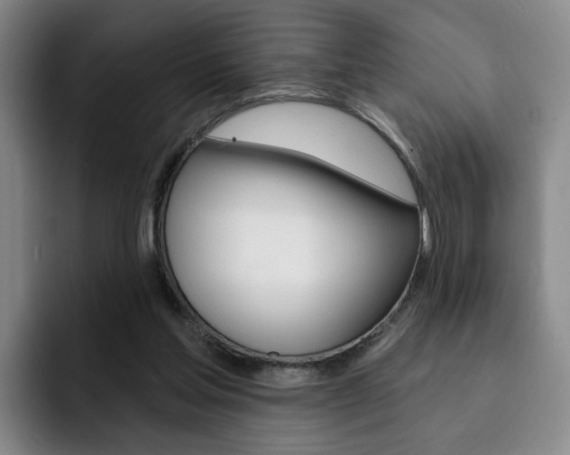 X0000093090205200709260915