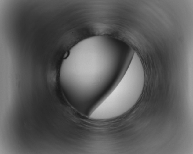 X0000093090219200709260915