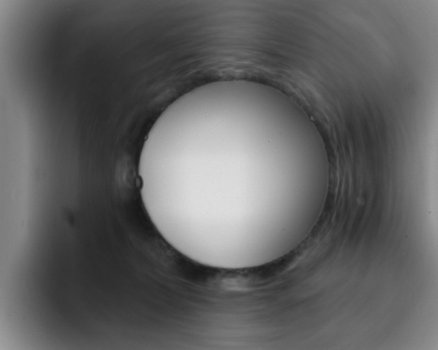 X0000093090228200709260915