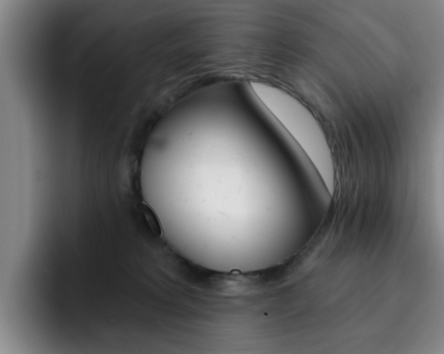 X0000093090229200709260915