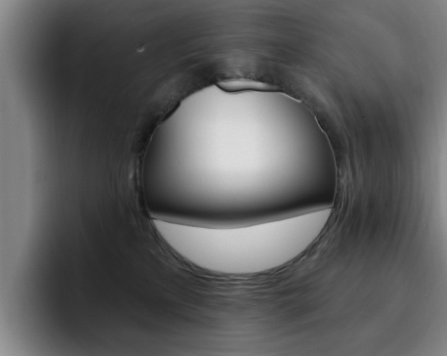 X0000093090233200709260915