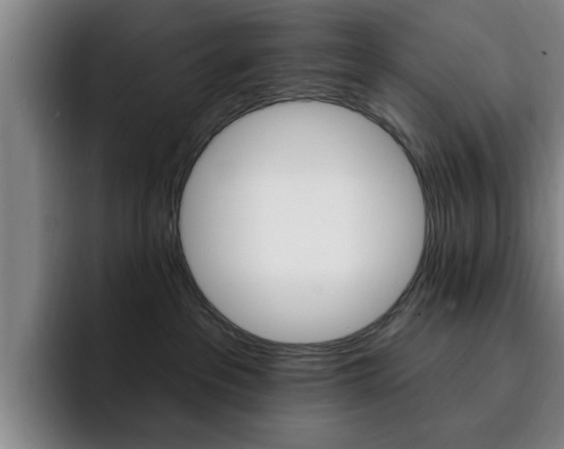 X0000093090237200709260915