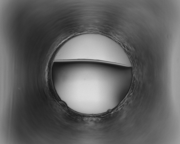 X0000093090242200709260914