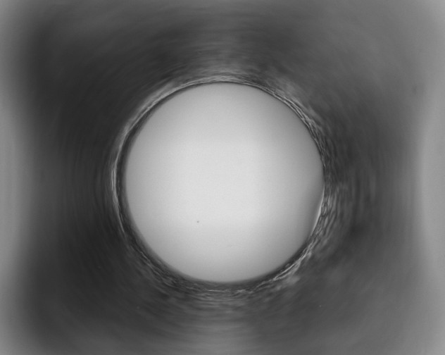 X0000093090244200709260914