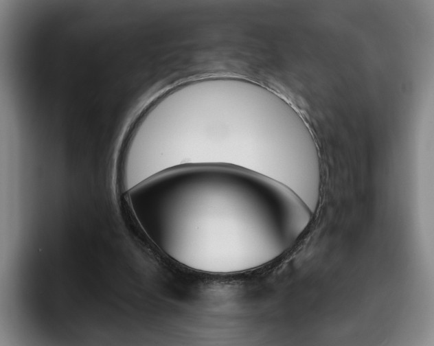X0000093090248200709260914