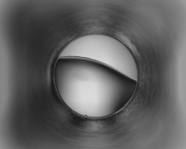 X0000093090250200709260914