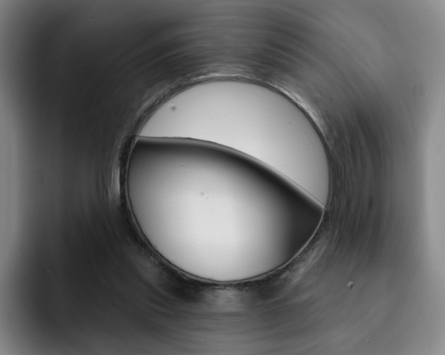 X0000093090253200709260914