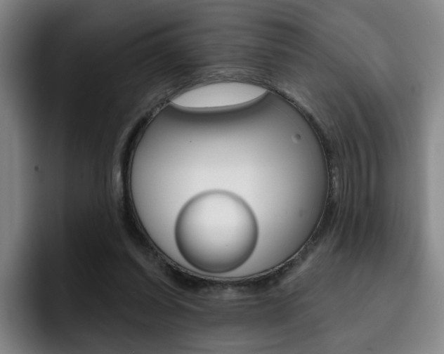 X0000093090254200709260914