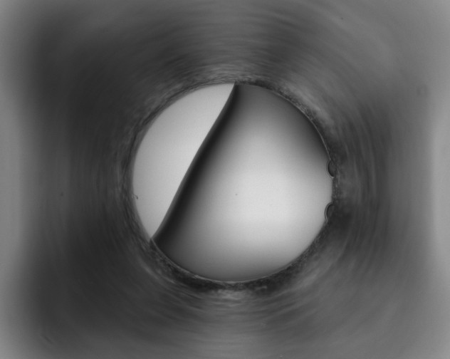 X0000093090255200709260914