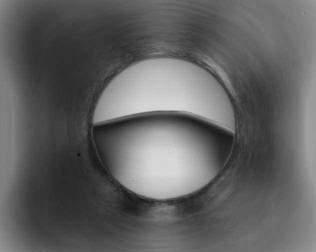 X0000093090257200709260914