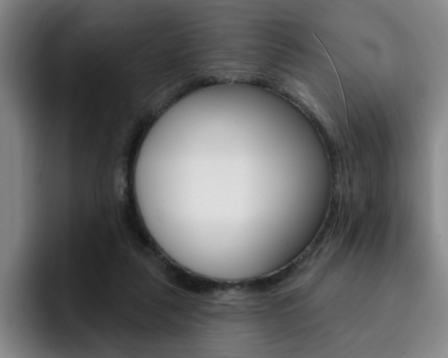 X0000093090259200709260914