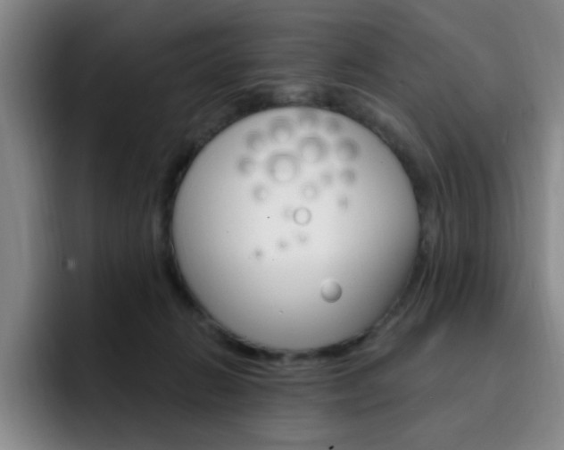 X0000093090270200709260914