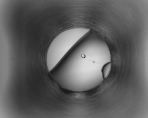 X0000093090275200709260914