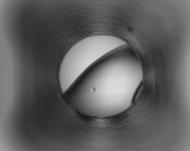 X0000093090277200709260914